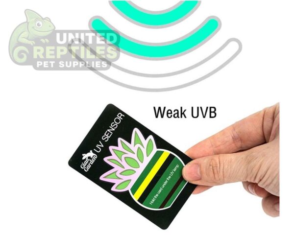 Giangarden UV Sensor Tester Card (2pcs)