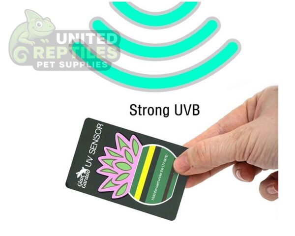 Giangarden UV Sensor Tester Card (2pcs)