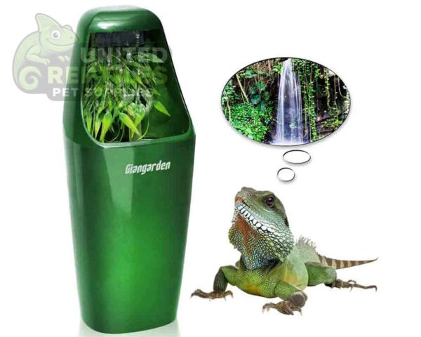 abstract hexagonal shape with lizard inside Giangarden WA-D01 Drinking Fountain