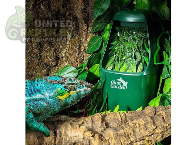 abstract hexagonal shape with lizard inside Giangarden WA-D01 Drinking Fountain