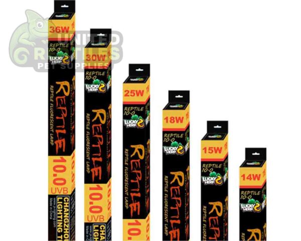 Lucky Herb 10.0 UVB Florescent Tubes