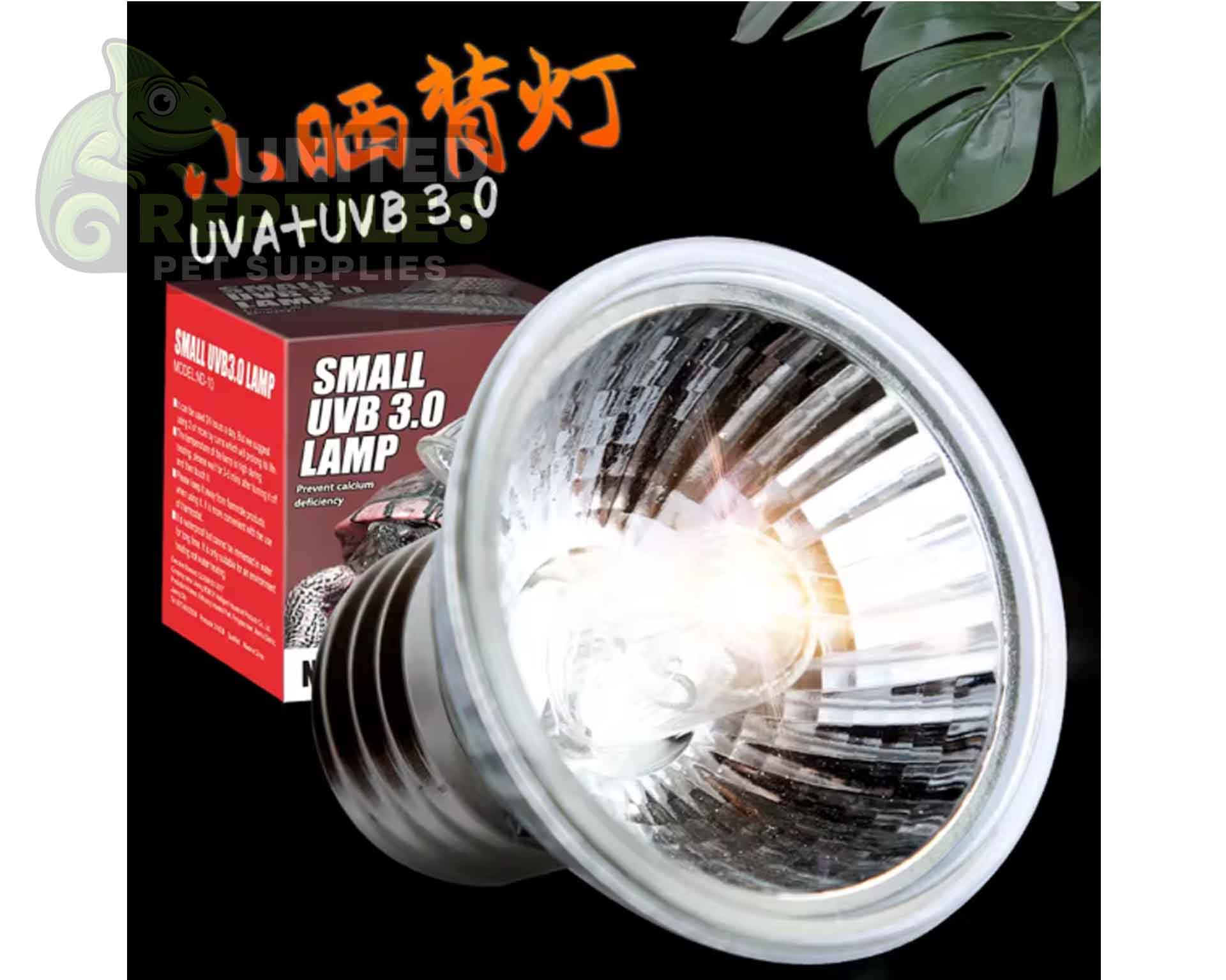 Nano Bask Lamp - Image 3