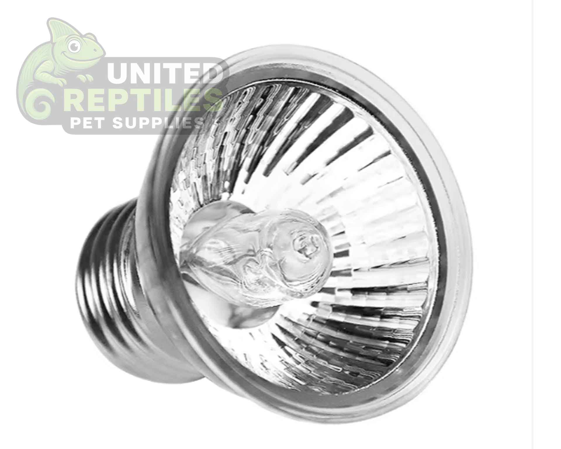 Nano Bask Lamp - Image 4