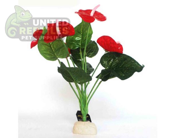 abstract hexagonal shape with lizard inside Nomoypet Simulation Base Plants