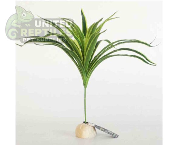 abstract hexagonal shape with lizard inside Nomoypet Simulation Base Plants