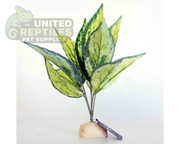 abstract hexagonal shape with lizard inside Nomoypet Simulation Base Plants