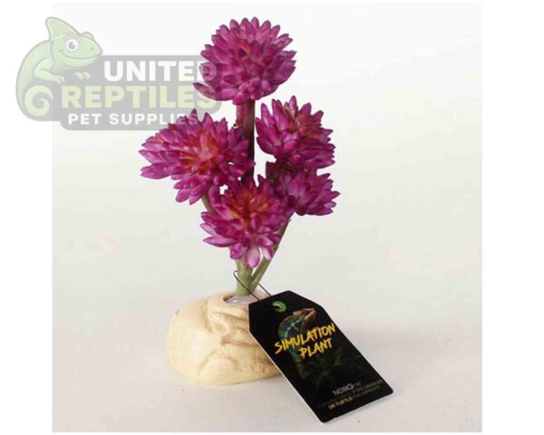 abstract hexagonal shape with lizard inside Nomoypet Simulation Base Plants