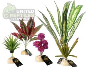 abstract hexagonal shape with lizard inside Nomoypet Simulation Base Plants