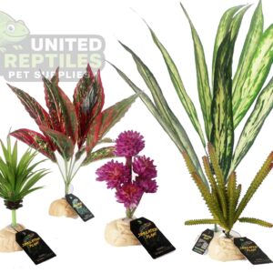 Nomoypet Simulation Base Plants