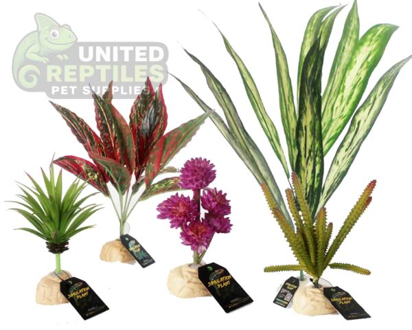 abstract hexagonal shape with lizard inside Nomoypet Simulation Base Plants