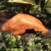 NS Resin Reptile Hide Cave