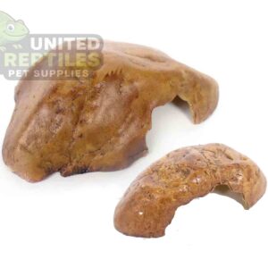 NS Resin Reptile Hide Cave