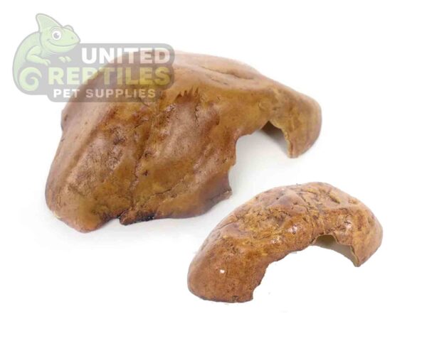 NS Resin Reptile Hide Cave