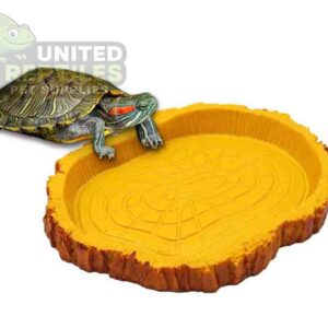 Tortoise Bowl Resin NS39