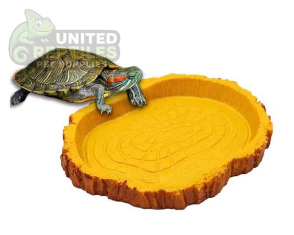 Tortoise Bowl Resin NS39