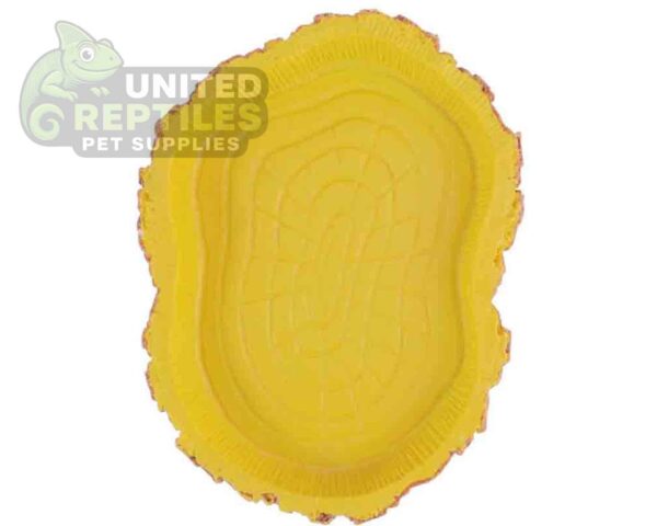 Tortoise Bowl Resin NS39