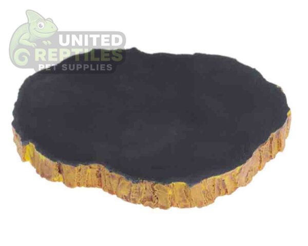 Tortoise Bowl Resin NS39