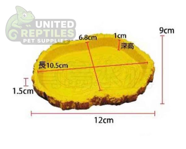 Tortoise Bowl Resin NS39