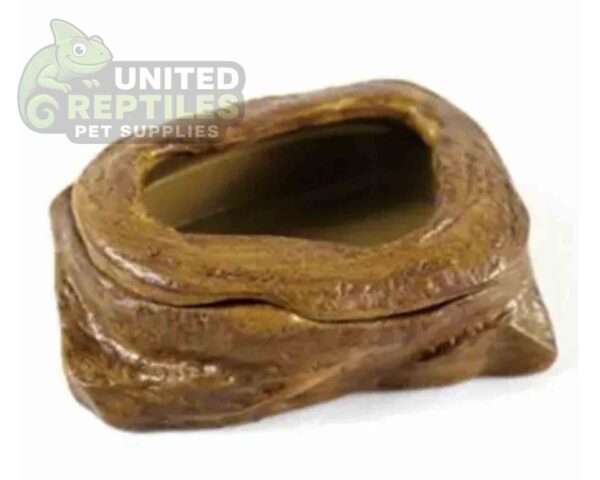 Worm Feeding Dish - Escape Proof