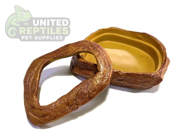 Worm Feeding Dish - Escape Proof