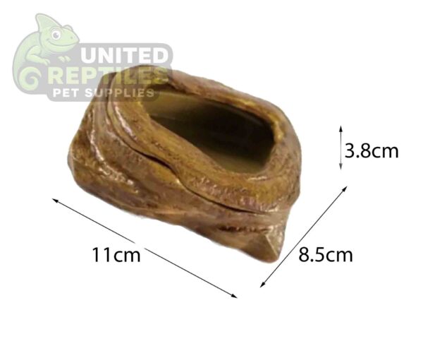 Worm Feeding Dish - Escape Proof