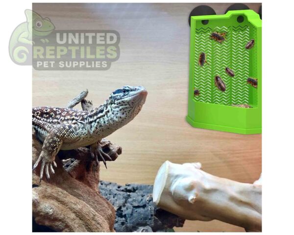 Reptile Corner Feeding Bowl - 2 sizes