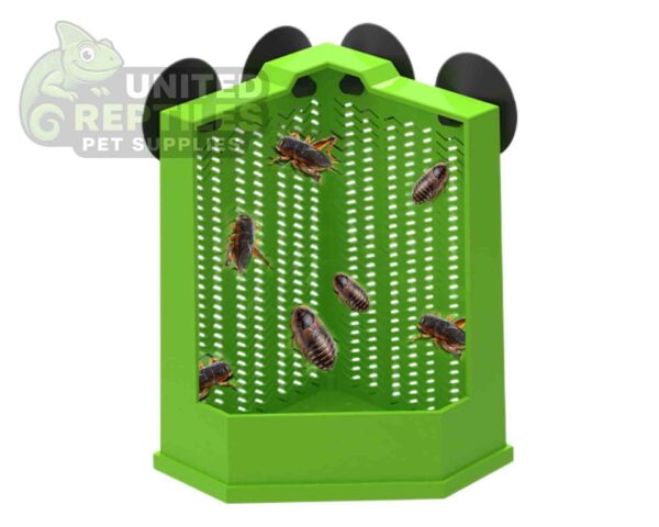 Reptile Corner Feeding Bowl - 2 sizes