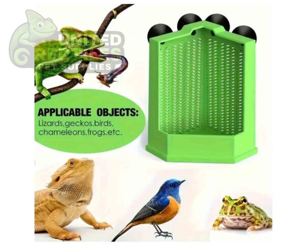 Reptile Corner Feeding Bowl - 2 sizes