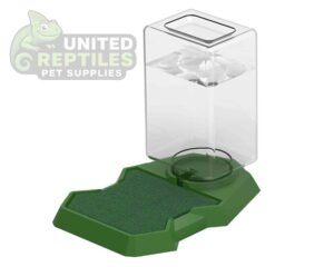 Anti-drowning water feeder