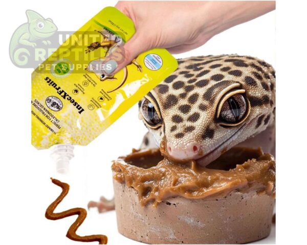 abstract hexagonal shape with lizard inside InsecXFruits 80g