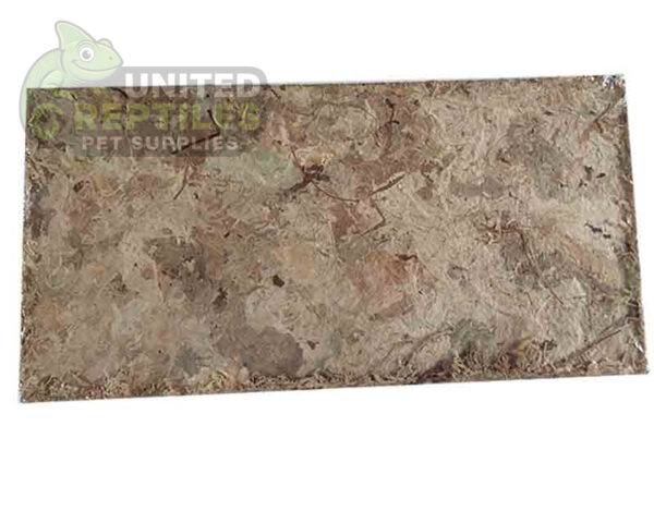 100g Sphagnum Moss Compressed Brick