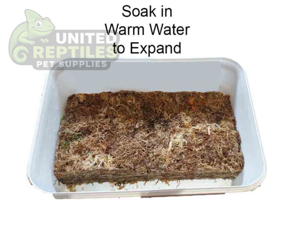 100g Sphagnum Moss Compressed Brick