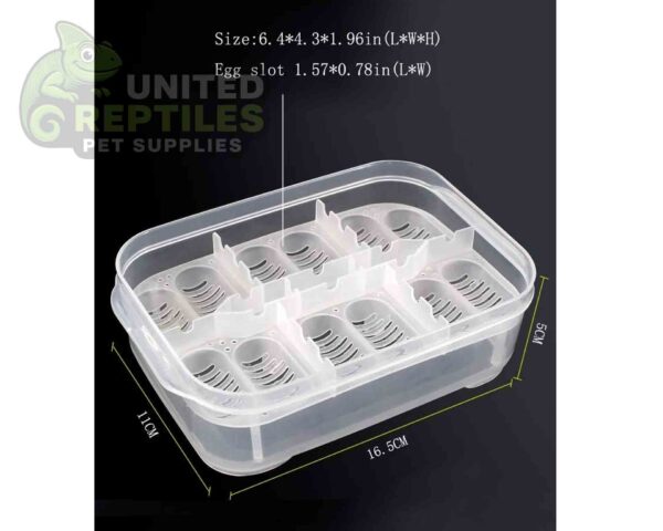 abstract hexagonal shape with lizard inside Reptile Breeding Box