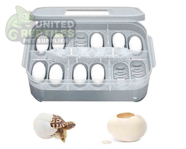 abstract hexagonal shape with lizard inside Reptile Breeding Box