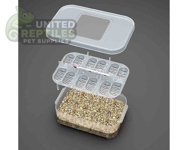 abstract hexagonal shape with lizard inside Reptile Breeding Box