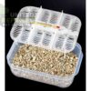 abstract hexagonal shape with lizard inside Reptile Breeding Box