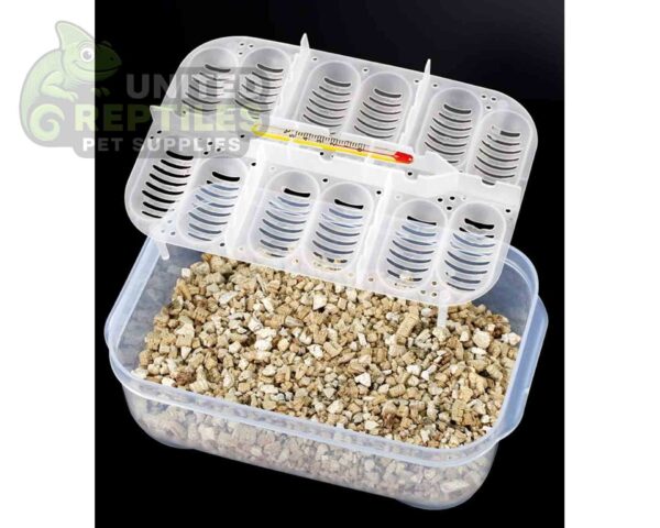 abstract hexagonal shape with lizard inside Reptile Breeding Box