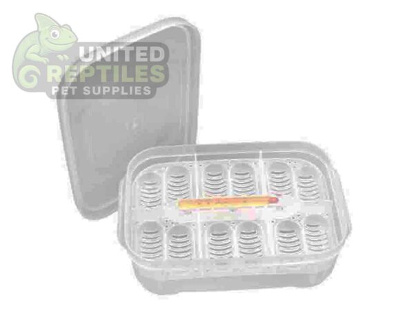 abstract hexagonal shape with lizard inside Reptile Breeding Box