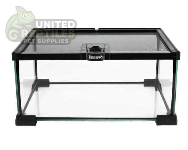 BT Terrarium-Open from the top