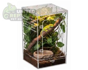 abstract hexagonal shape with lizard inside Acrylic Reptile Terrarium Habitat