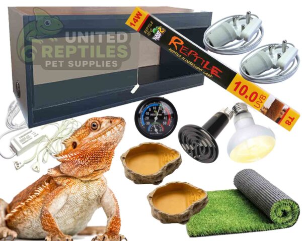 abstract hexagonal shape with lizard inside Bearded Dragon Black Complete Kit