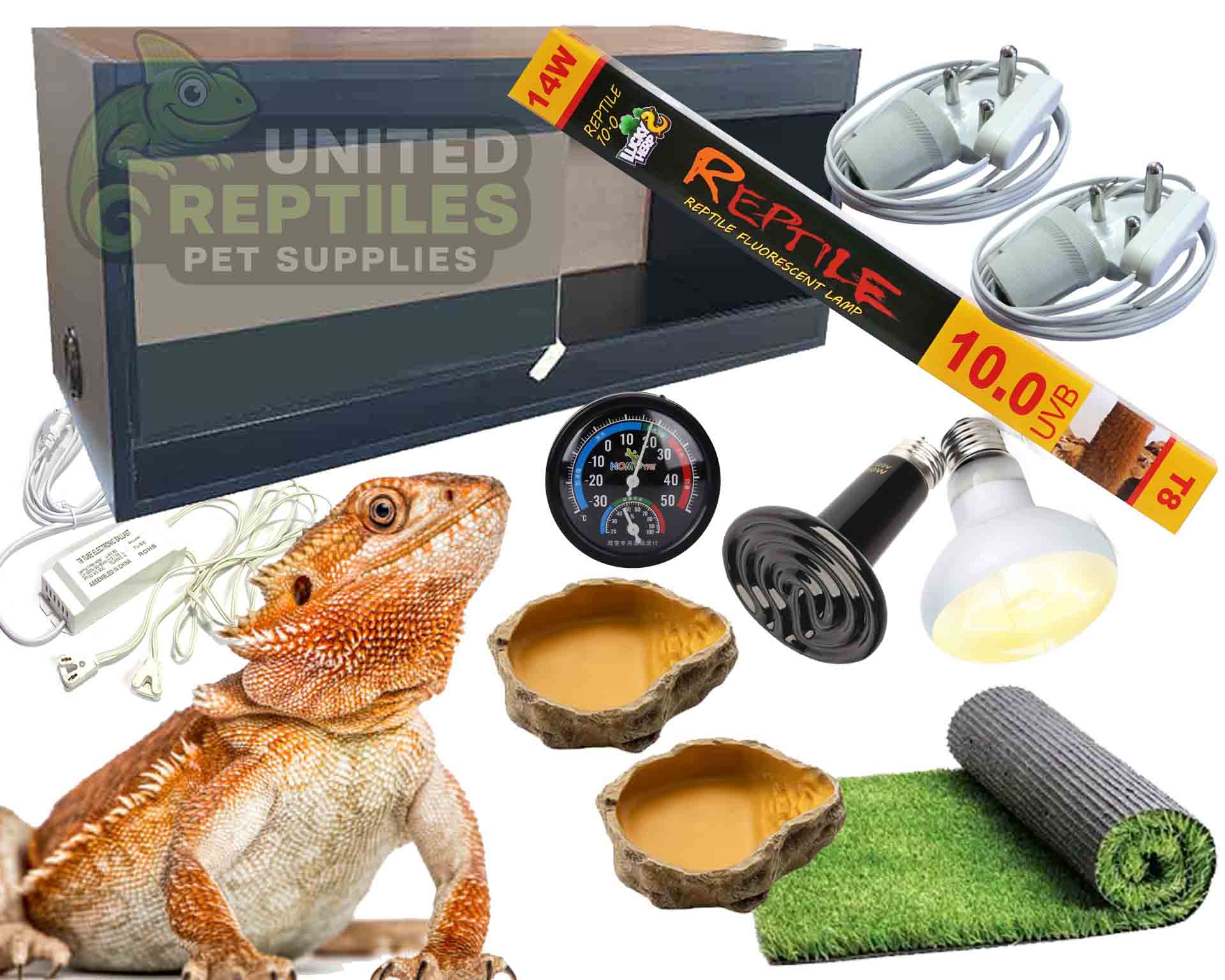Bearded Dragon Black Complete Kit