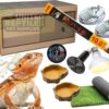 Bearded Dragon Budget Complete Kit