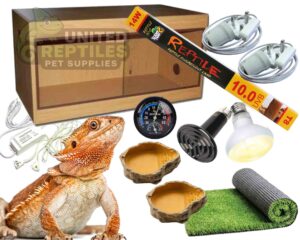 Bearded Dragon Oak Complete Kit