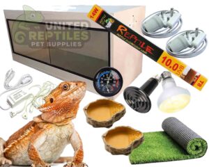 Bearded Dragon White Complete Kit