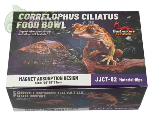 abstract hexagonal shape with lizard inside Gecko Feed Rock Magnetic Ledge