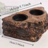 abstract hexagonal shape with lizard inside Gecko Feed Rock Magnetic Ledge