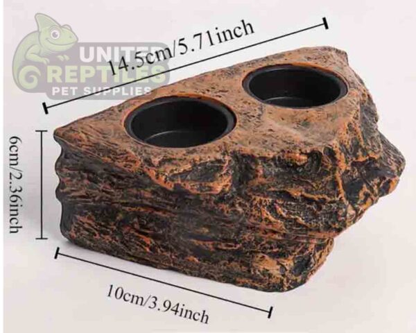 abstract hexagonal shape with lizard inside Gecko Feed Rock Magnetic Ledge