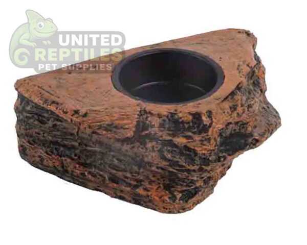 abstract hexagonal shape with lizard inside Gecko Feed Rock Magnetic Ledge