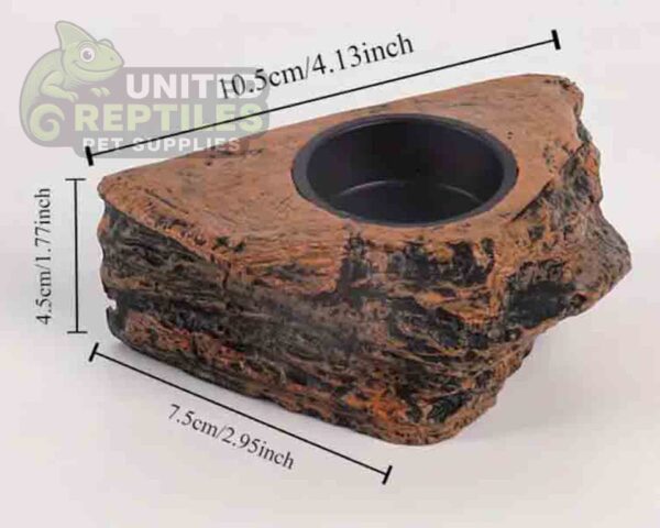 abstract hexagonal shape with lizard inside Gecko Feed Rock Magnetic Ledge